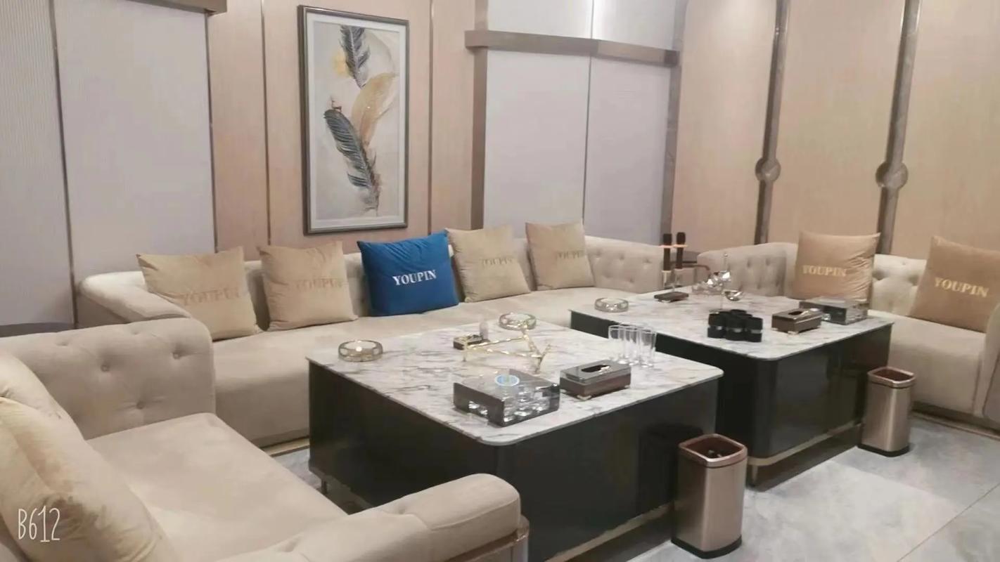 铜仁商务ktv是什么业务类型-思南县ktv预定